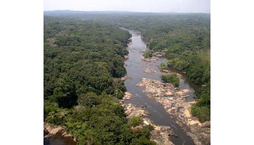 Ituri Rainforest, where many Efé people live