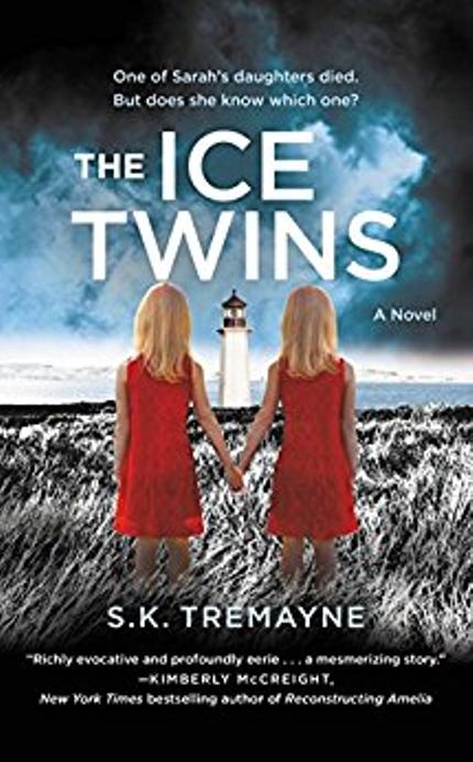The Ice Twins Buy The Ice Twins at Amazon