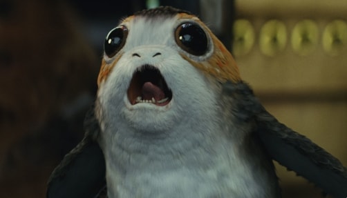 porgs_star-wars-aliens-ranked Porg