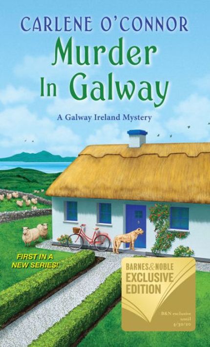 Murder in Galway Buy Murder in Galway at Amazon