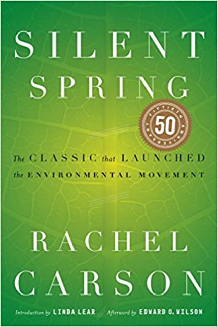 Silent Spring Buy Silent Spring at Amazon