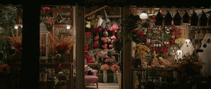 Murder in Bloom: 6 Flower Shop Cozy Mystery Books