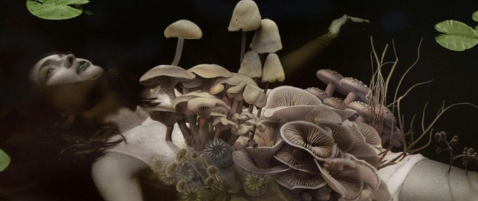 The Call Of The Woods: 5 Forest Horror Picks To Read This Summer 