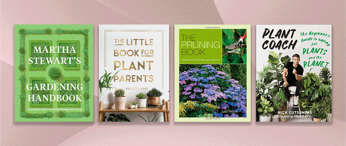 Four book covers against pink background.