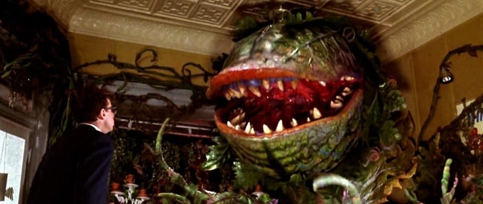 These Horror Musicals Hit all the Right Notes