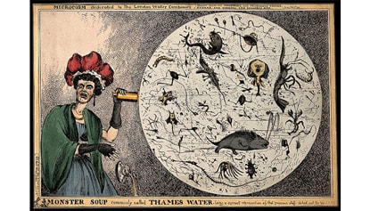 Satirical cartoon showing a woman observing monsters in a drop of London water.