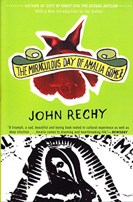 The Miraculous Day of Amalia Gómez Buy The Miraculous Day of Amalia Gómez at Amazon