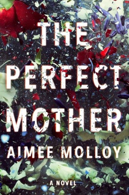 The Perfect Mother Buy The Perfect Mother at Amazon