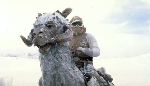 tauntauns_star-wars-aliens-ranked Tauntaun