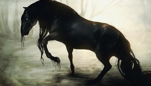 A kelpie emerging from the water.