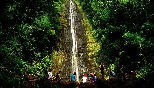 Manoa Falls in Honolulu, Oahu, Hawaii