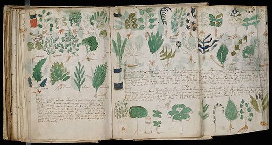 Image of The Voynich Manuscript
