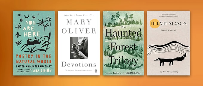 Four book covers set against orange background.