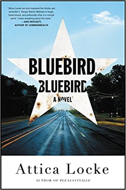 Bluebird, Bluebird Buy Bluebird, Bluebird at Amazon