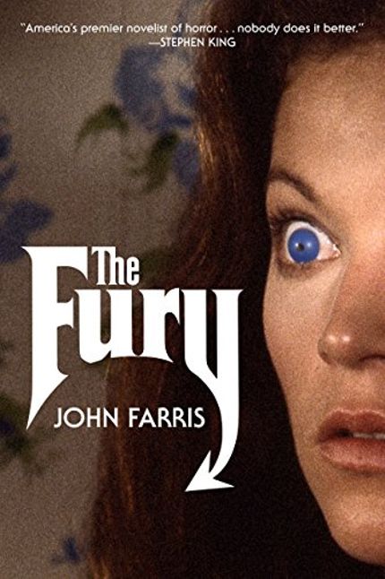 Buy The Fury at Amazon