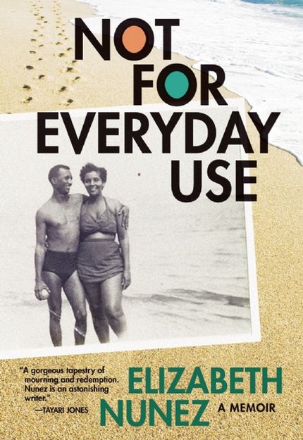 Not for Everyday Use Buy Not for Everyday Use at Amazon
