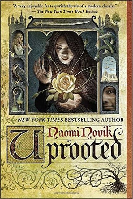 uprooted beauty and the beast retellings