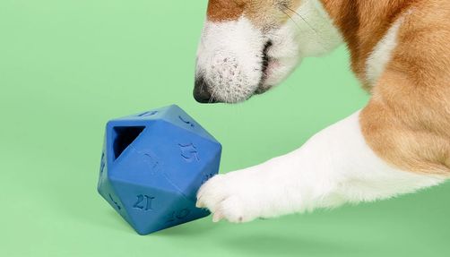 d20-dog-toy_dungeons-and-dragons-gift-guide Pawp Culture D20 dog toy