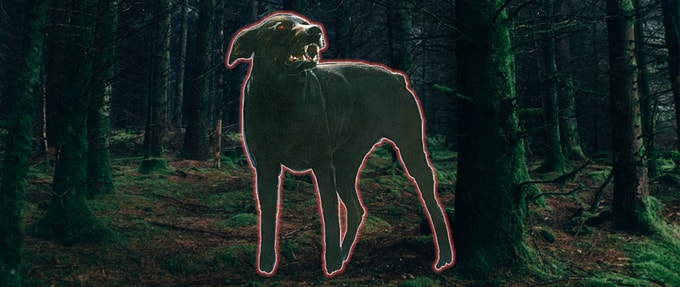 The Black Dog of the Eastern Counties: Britain’s Most Persistent Phantom Beast