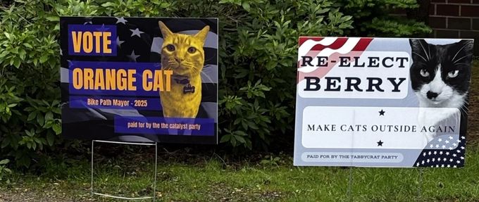 Two campaign signs featuring different cats running for mayor.