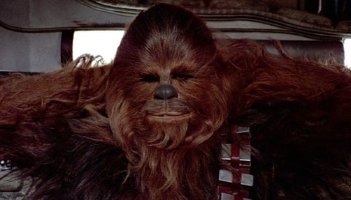 chewbacca_star-wars-aliens-ranked Chewbacca