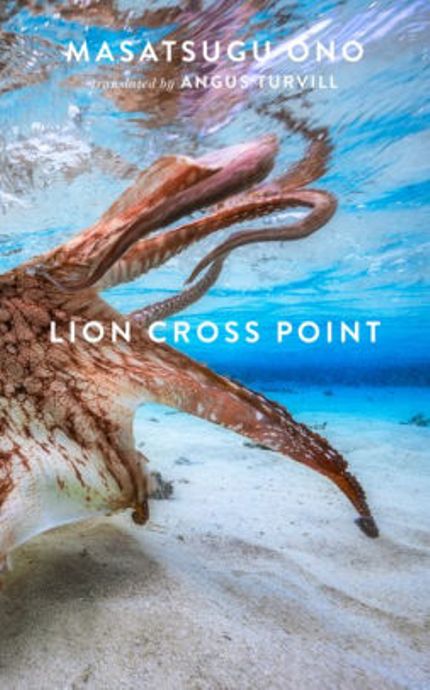 Lion Cross Point Buy Lion Cross Point at Amazon