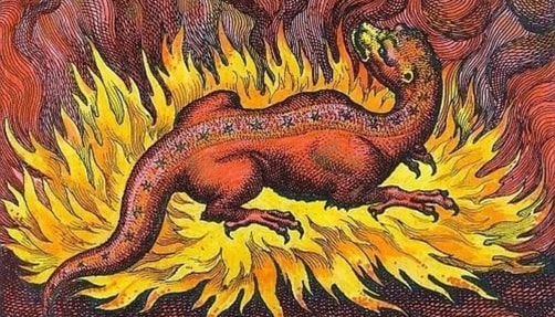 salamander_creepy-mythical-creatures-for-aries-season A salamander