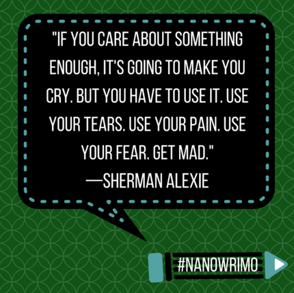 nanowrimo quotes