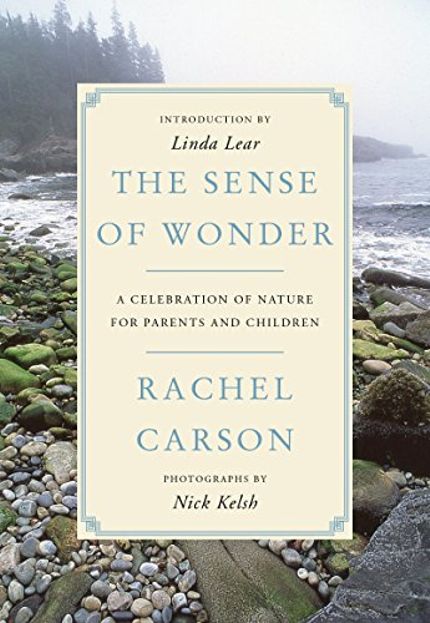 The Sense of Wonder Buy The Sense of Wonder at Amazon