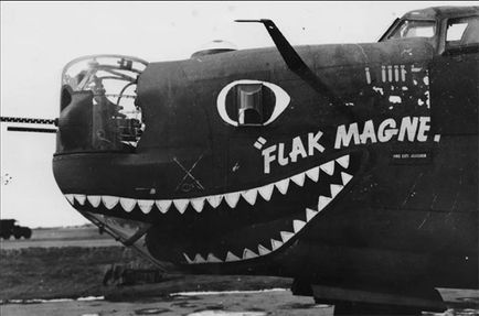 desalles-glover-babyface-gunner_flak-magnet A bomber with the name "flak magnet". The front below the pilot is decorated with eyes and a mouth.
