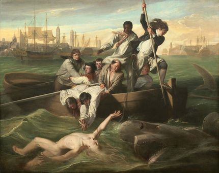 watson-and-the-shark a man in the water is attacked by a shark as men in a boat try to help him