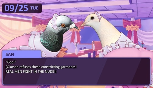 A still from the game 'Hatoful Boyfriend'