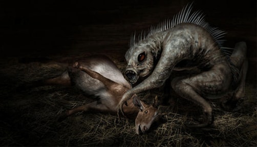 Image of Chupacabra.