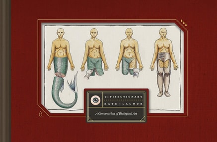 vivisectionary-by-kate-lacour vivisectionary by kate lacour shows anatomical mermaids and men