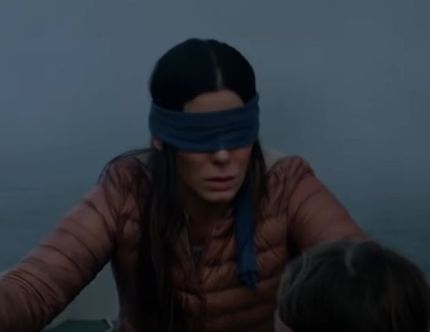 bird box