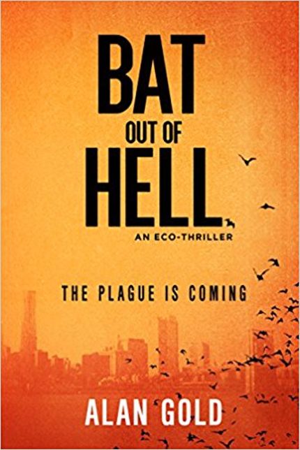 Bat Out of Hell Buy Bat Out of Hell at Amazon