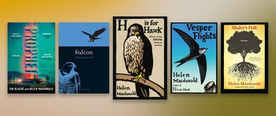 Covers of 5 of Helen Macdonald's books, including 'H is for Hawk,' set against green background.
