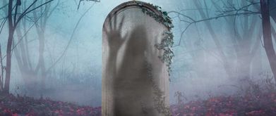 the remaking cover and excerpt