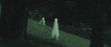 Grainy security footage of the Fresno Nightcrawler