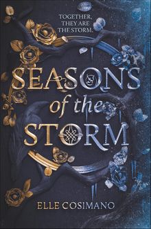 seasons-of-the-storm fall flowers turn to winter on the cover of seasons of the storm