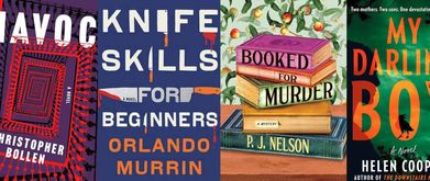 new mysteries and thriller books december 2024