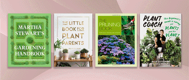 Four book covers against pink background.