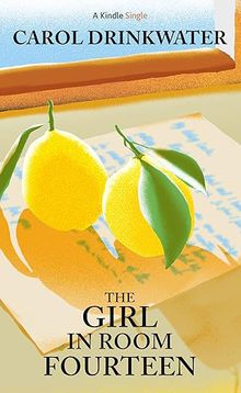 the girl in room fourteen book cover