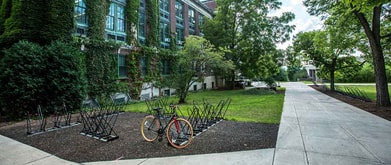 bikes on a rack outside a school