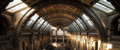 ceiling of a museum