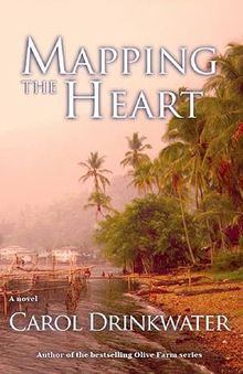 mapping the heart book cover