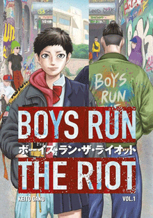 Cover of "Boys Run the Riot"