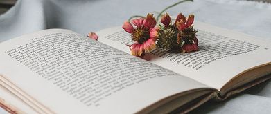 romance novel with flowers on it