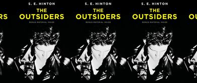 the outsiders se hinton