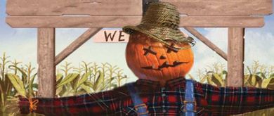 new-cozy-mysteries-to-crack-open-this-fall